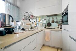 Onze @ Tanjong Pagar (D2), Apartment #509652051